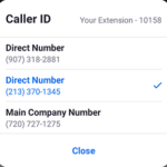 Using call delegation (client or app) In Zoom App
